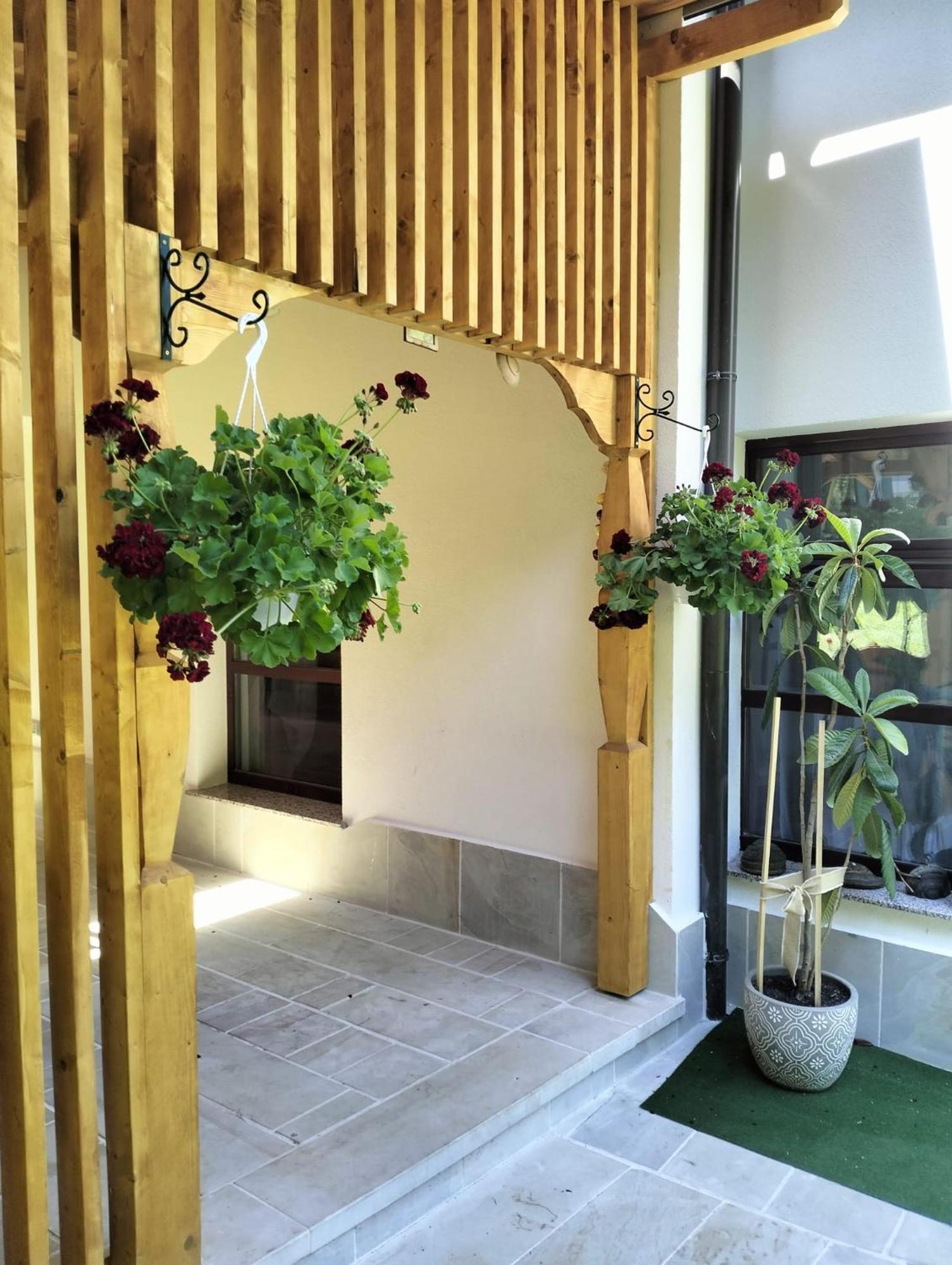 Hotel Casa Lucretia Vama  Exteriér fotografie